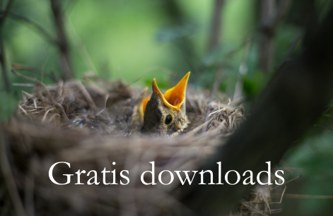 https://groeibriljant.nu/write/Afbeeldingen1/Gratis downloads.png?preset=content