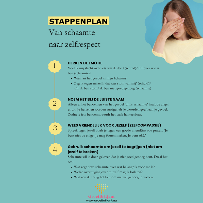 https://groeibriljant.nu/write/Afbeeldingen1/LInk stappenplan.png?preset=content