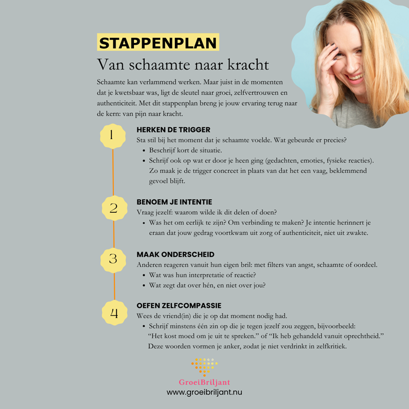 https://groeibriljant.nu/write/Afbeeldingen1/LinkedIn stappenplan kracht.png?preset=content